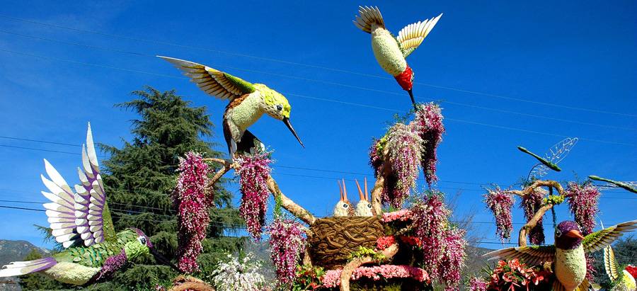 FLOAT FROM THE ROSE PARADE IN PASADENA