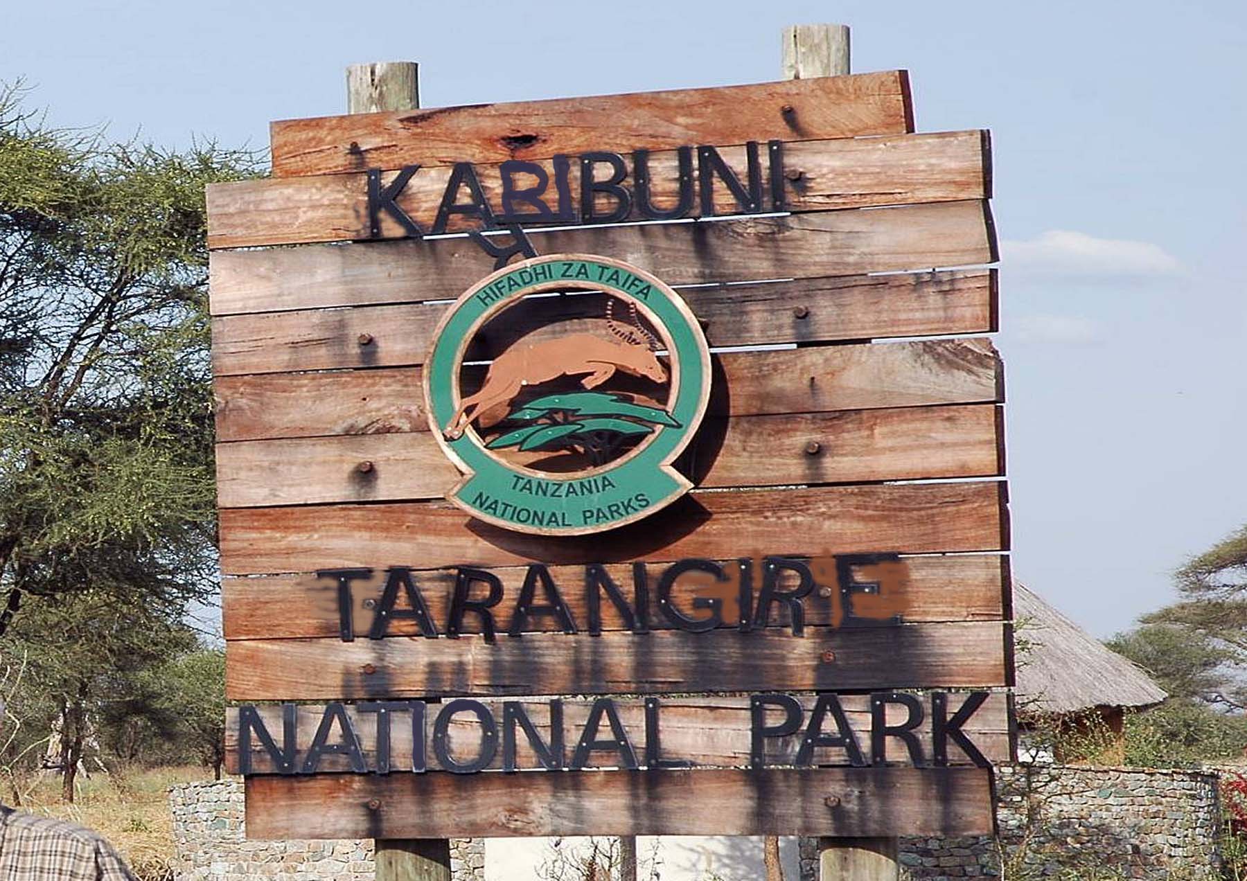 Eclipse 2004 - Q-Tarangire - A12 - Entrance