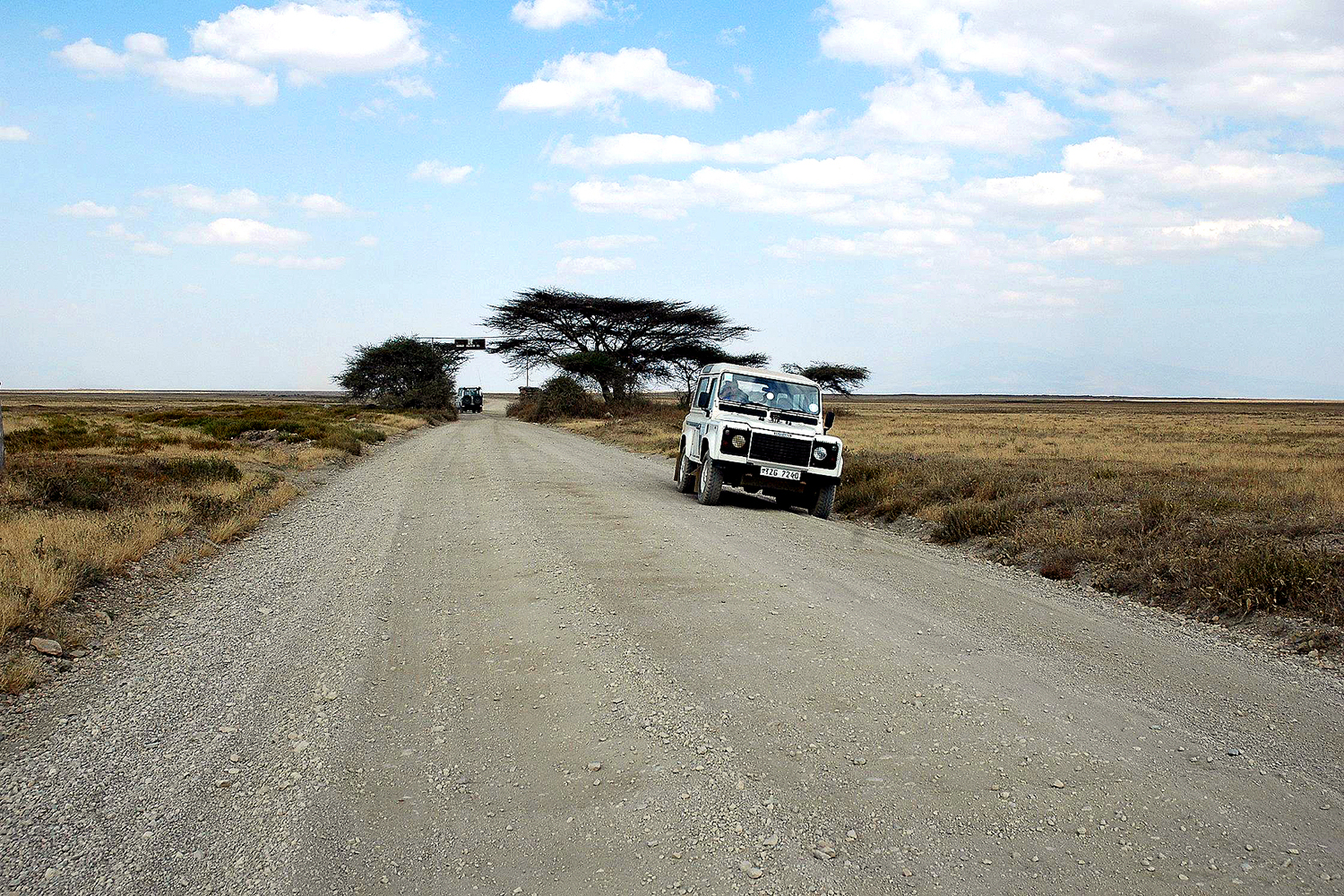 Eclipse 2004 - Serengeti - A13 -  Desolation