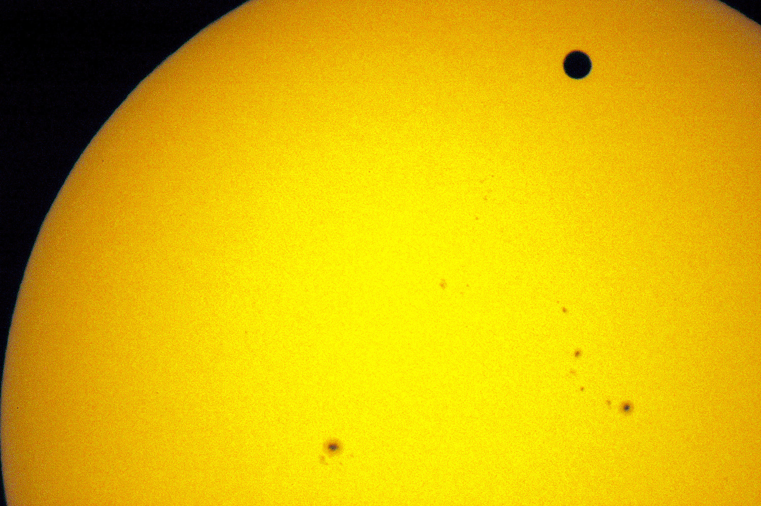 Venus Trans - A63