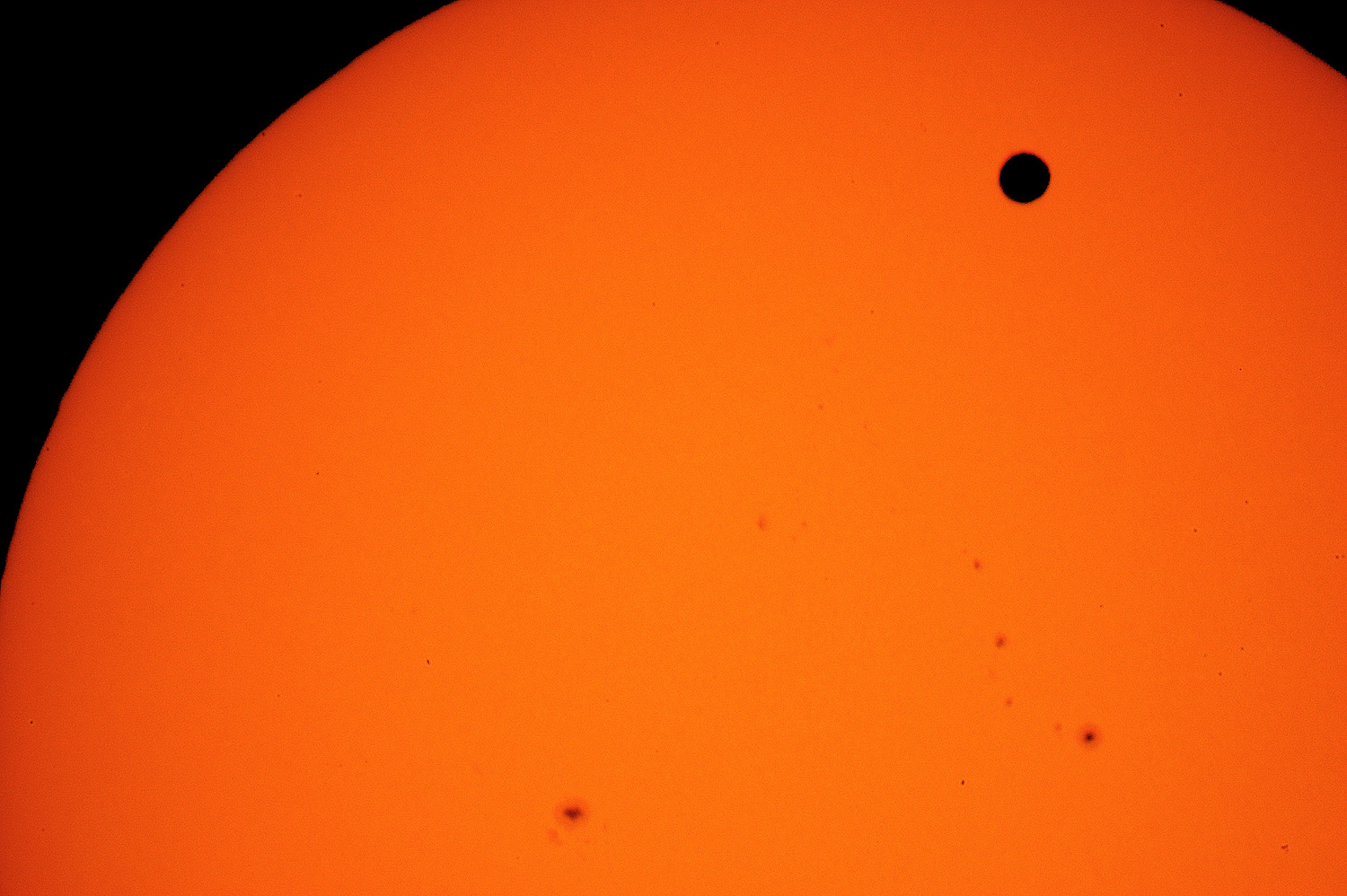 Venus Trans - A65