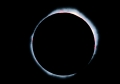 Eclipse 1977 - A54 - Prominences