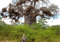 Eclipse 2001 - Kruger - A36 - Baobab