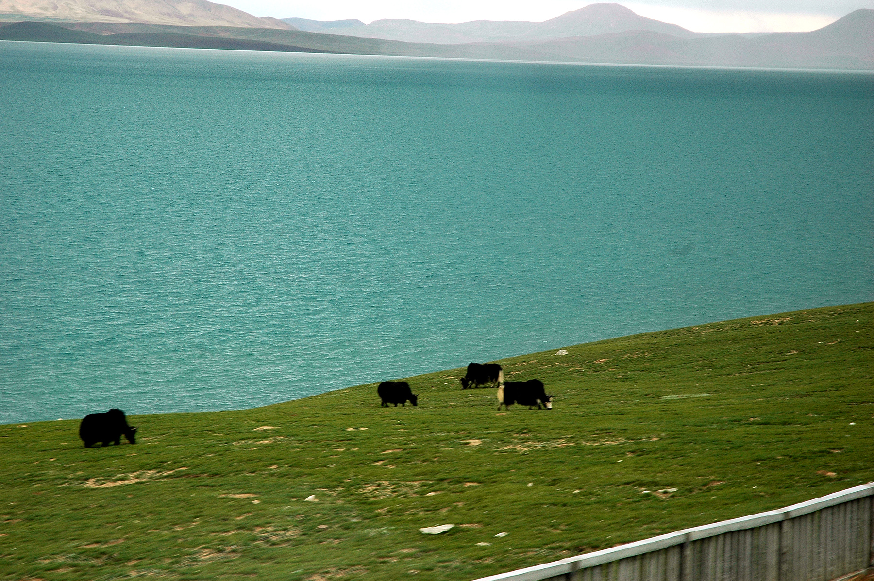 Eclipse 2008 - Tibet - A98 - 1908