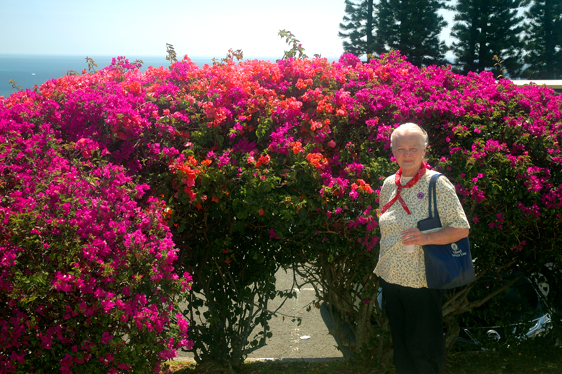 Eclipse 2012 - A26 - Bush with red flowers