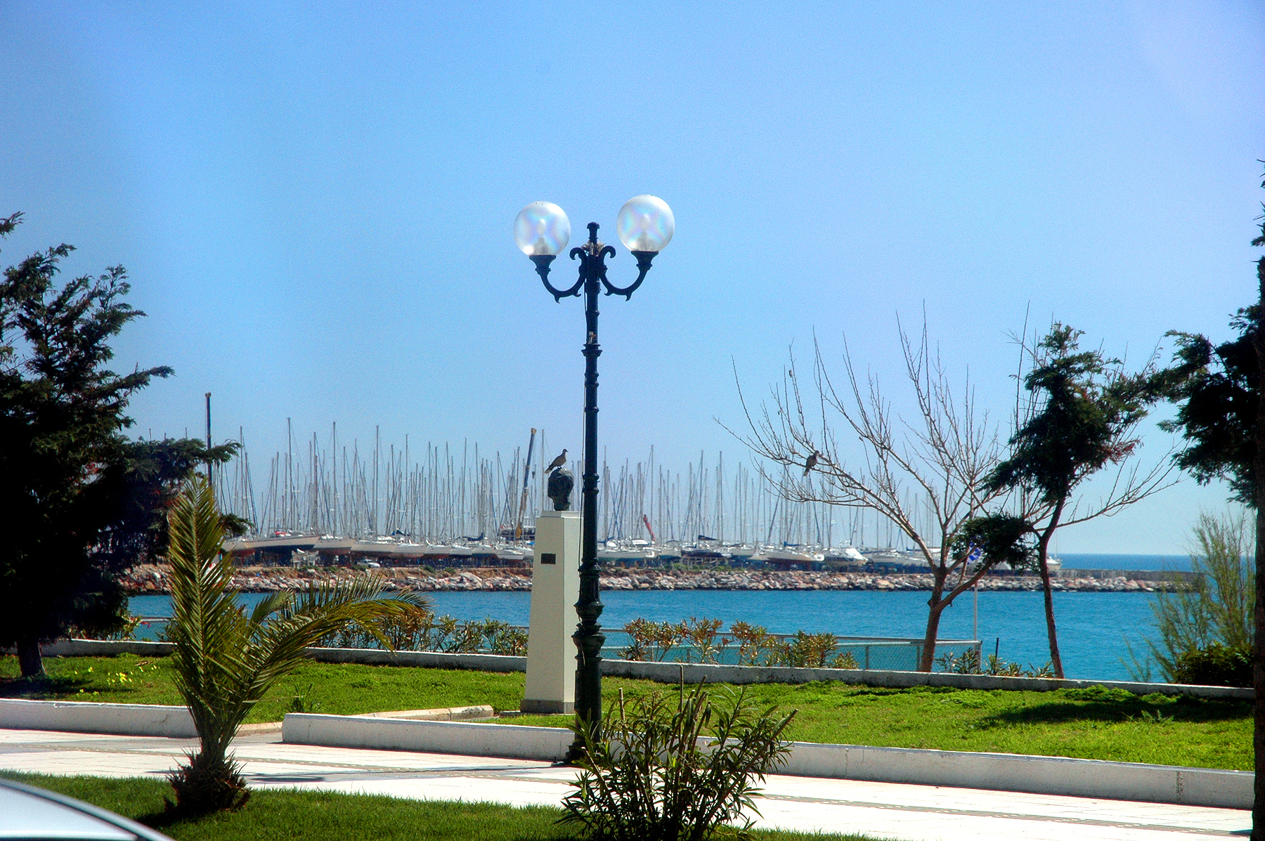 DSC_1844.JPG