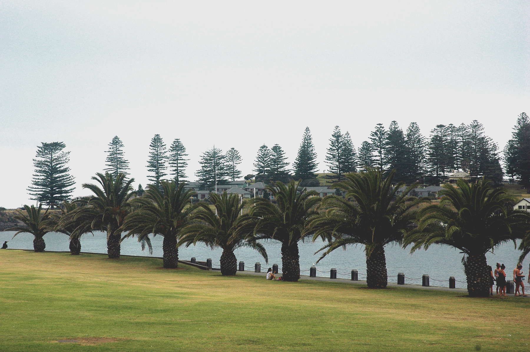 L-DSC_4281