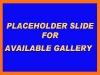Website Button - PLACEHOLDER SLIDE.jpg