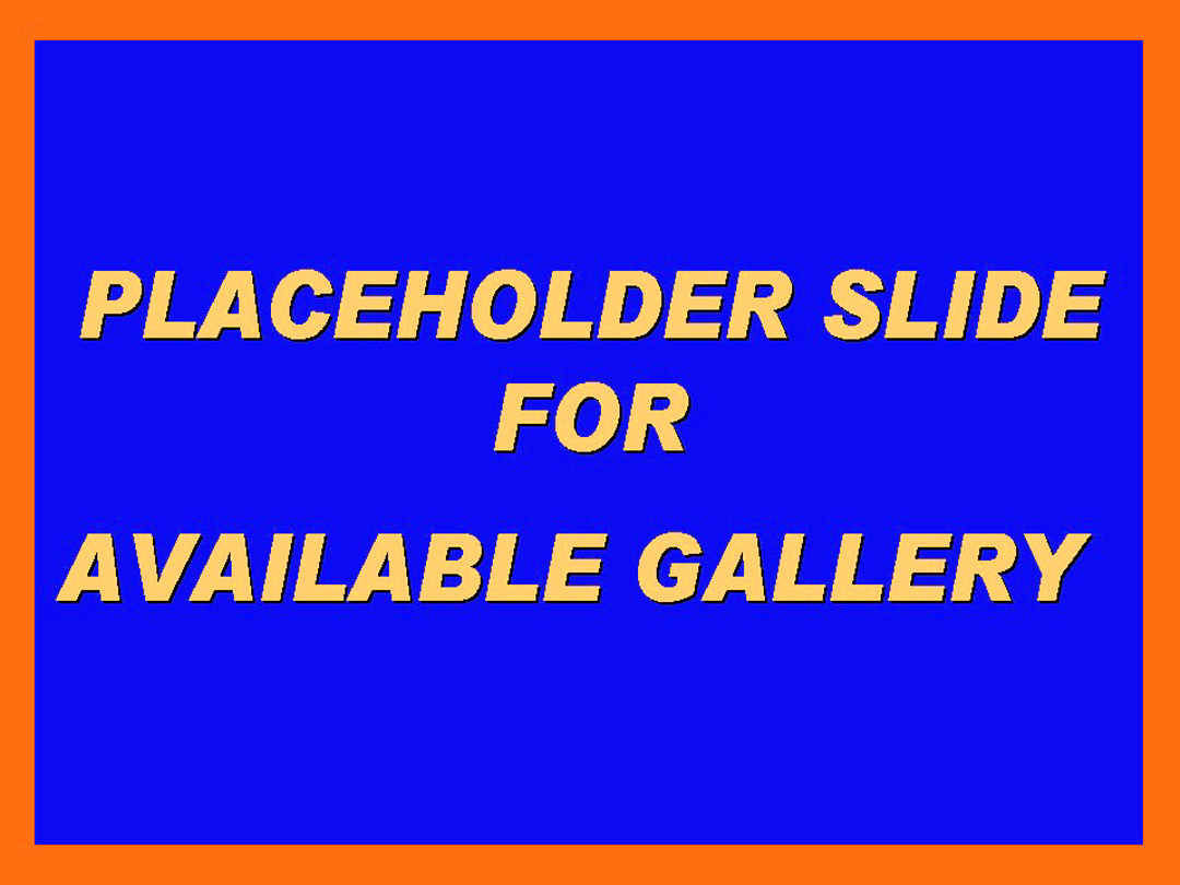 Website Button - PLACEHOLDER SLIDE