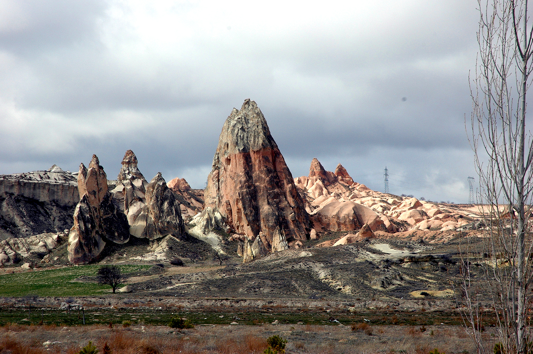 DSC_0700.JPG