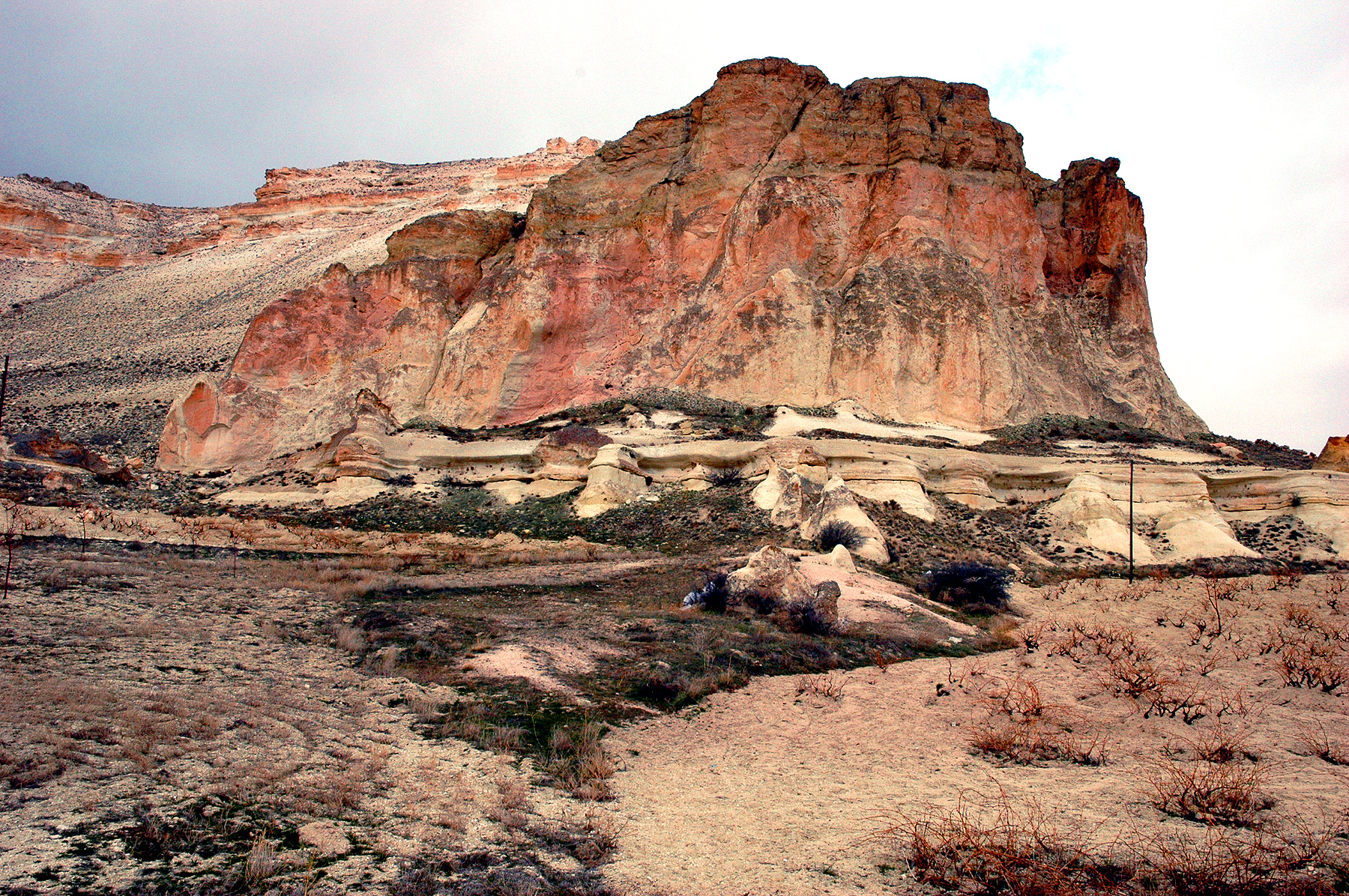 DSC_0730.JPG