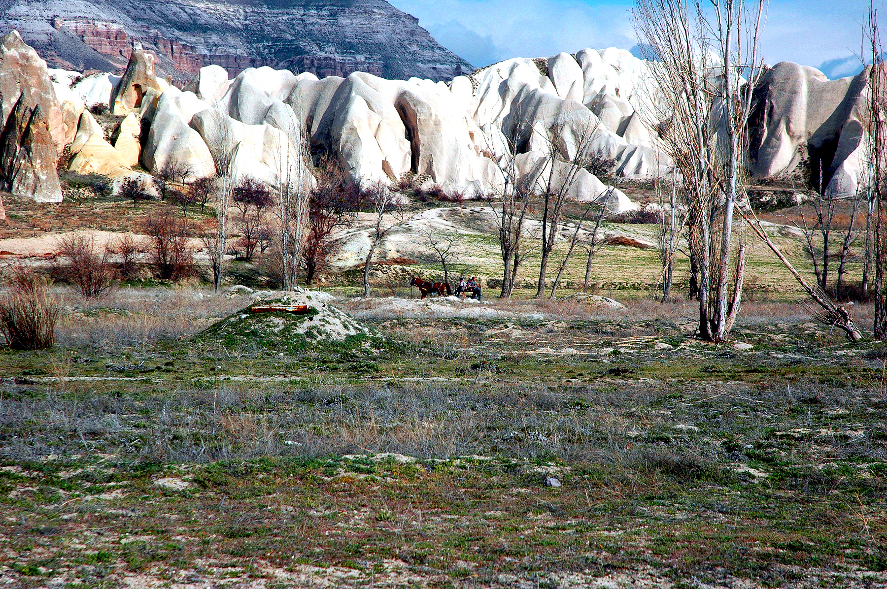 DSC_0747.JPG