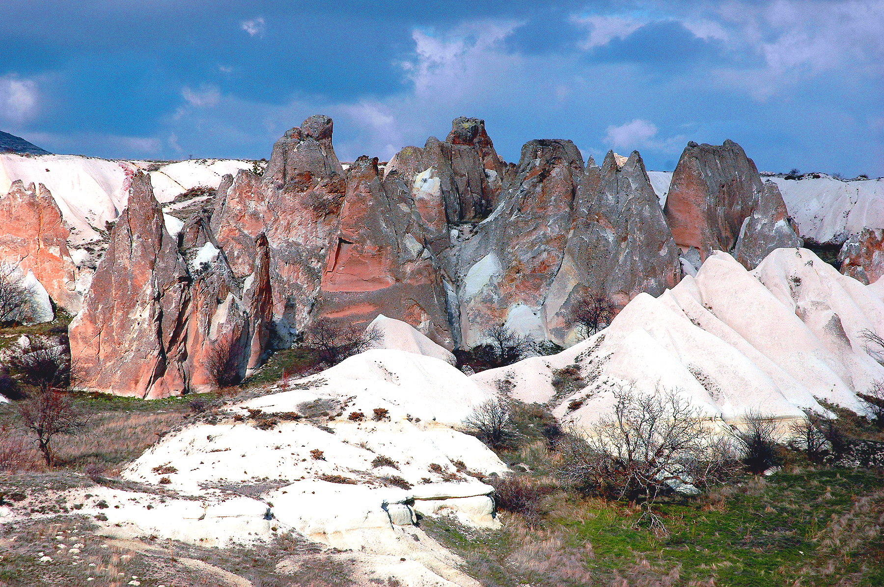 DSC_0767.JPG