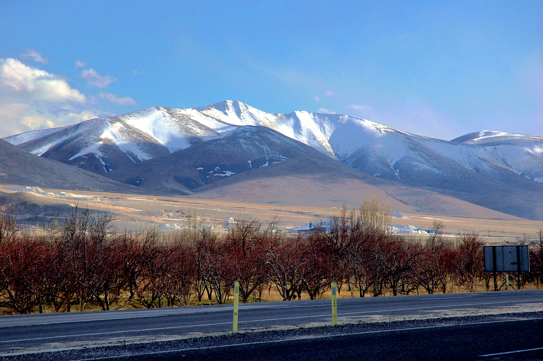 DSC_0882.JPG