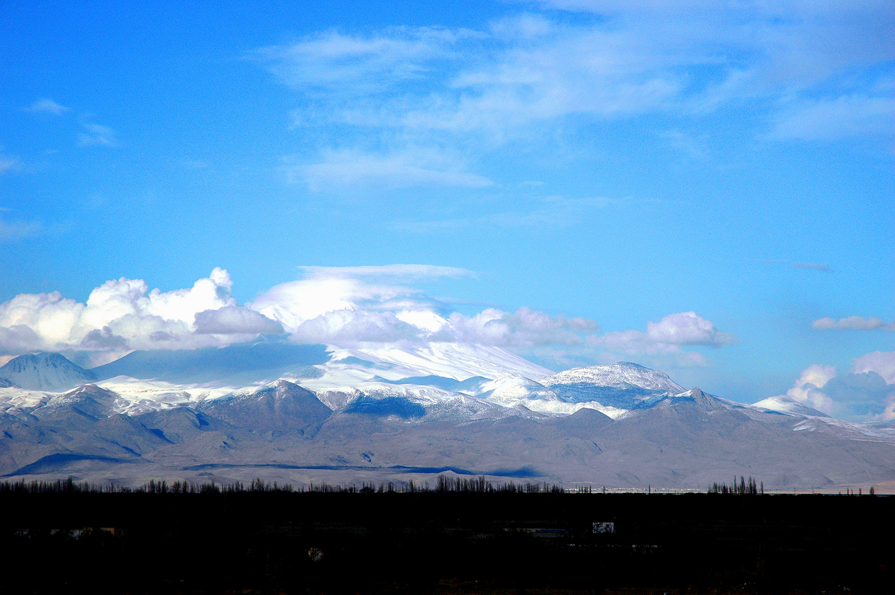 DSC_0901.JPG