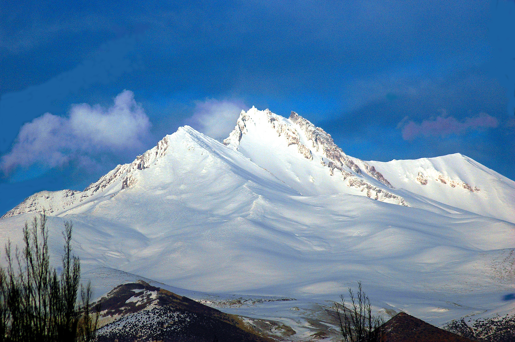 DSC_0914.JPG