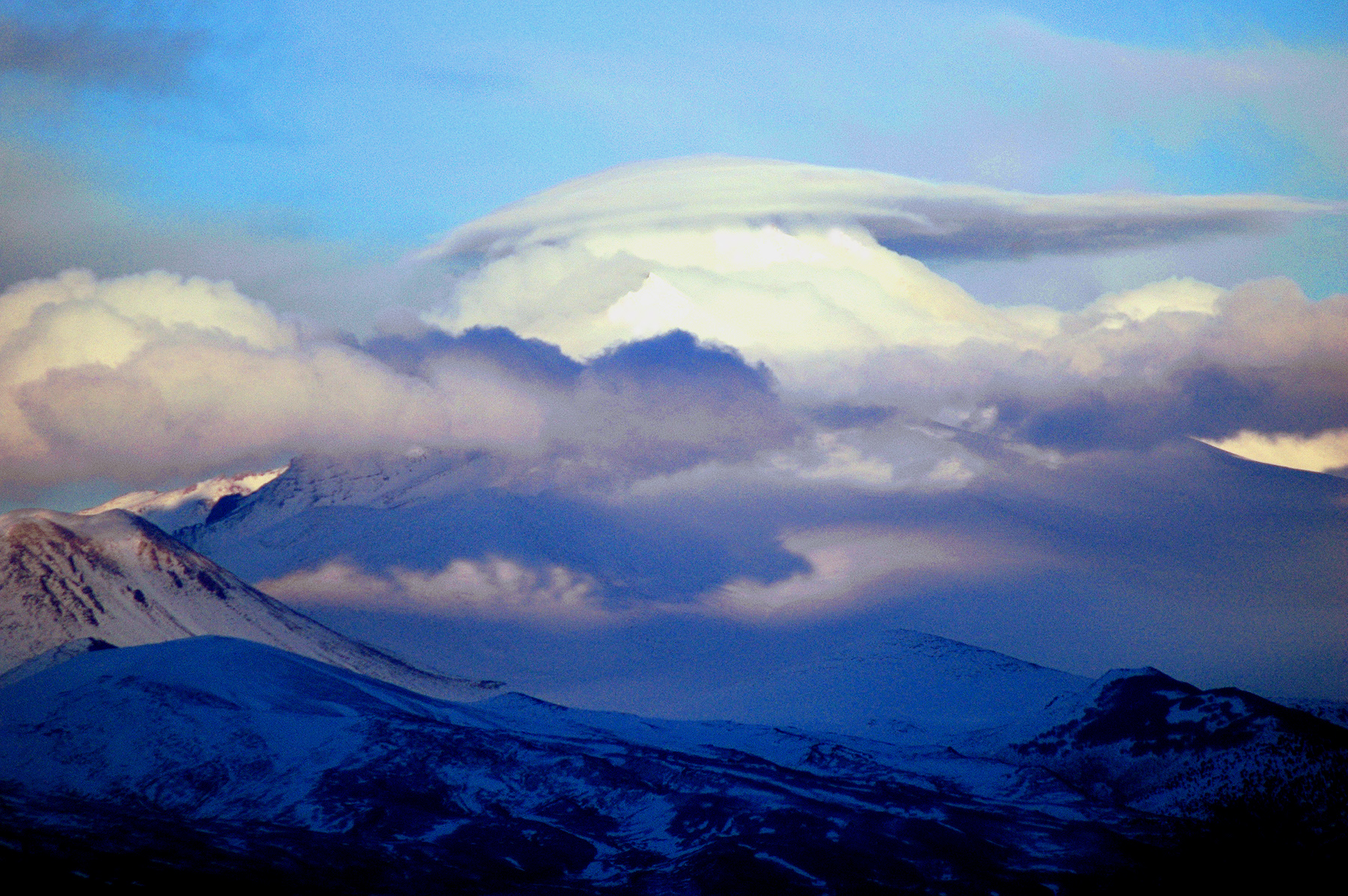 DSC_0921.JPG