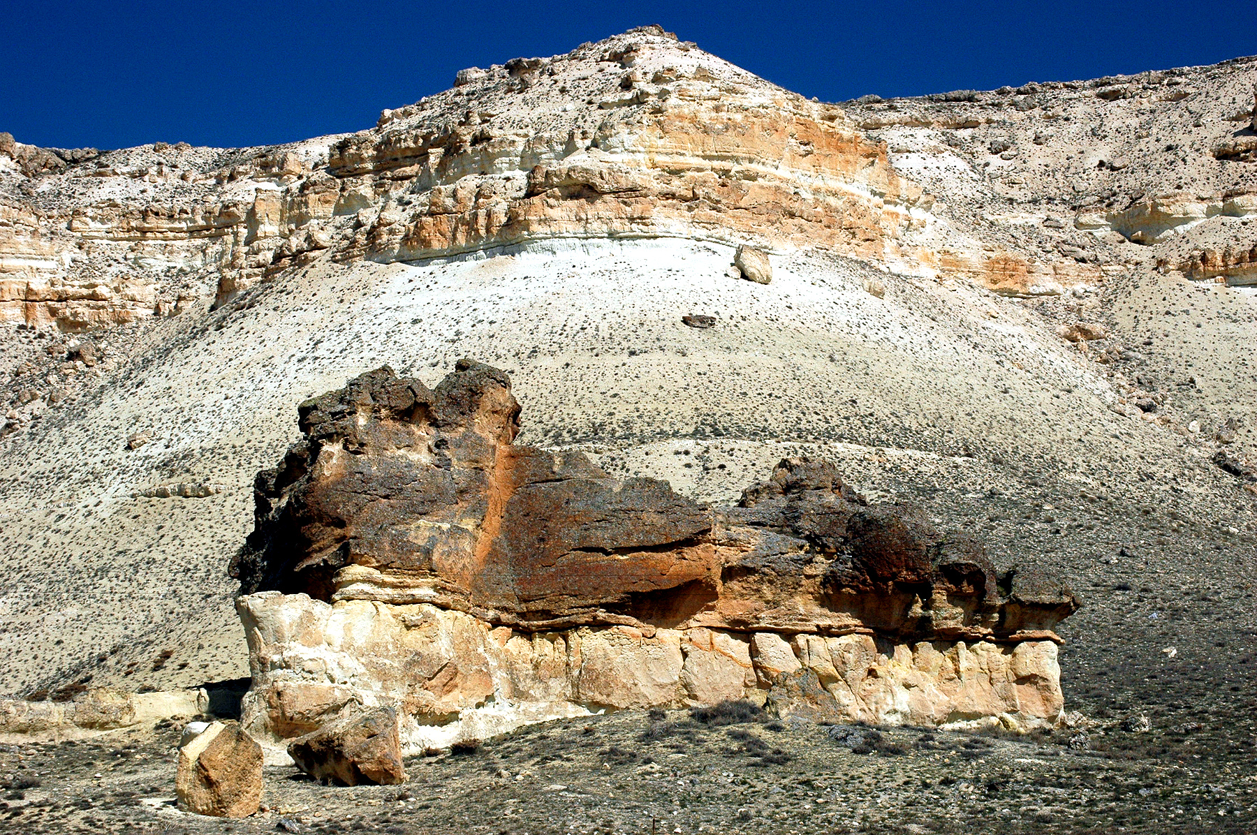 DSC_0946.JPG