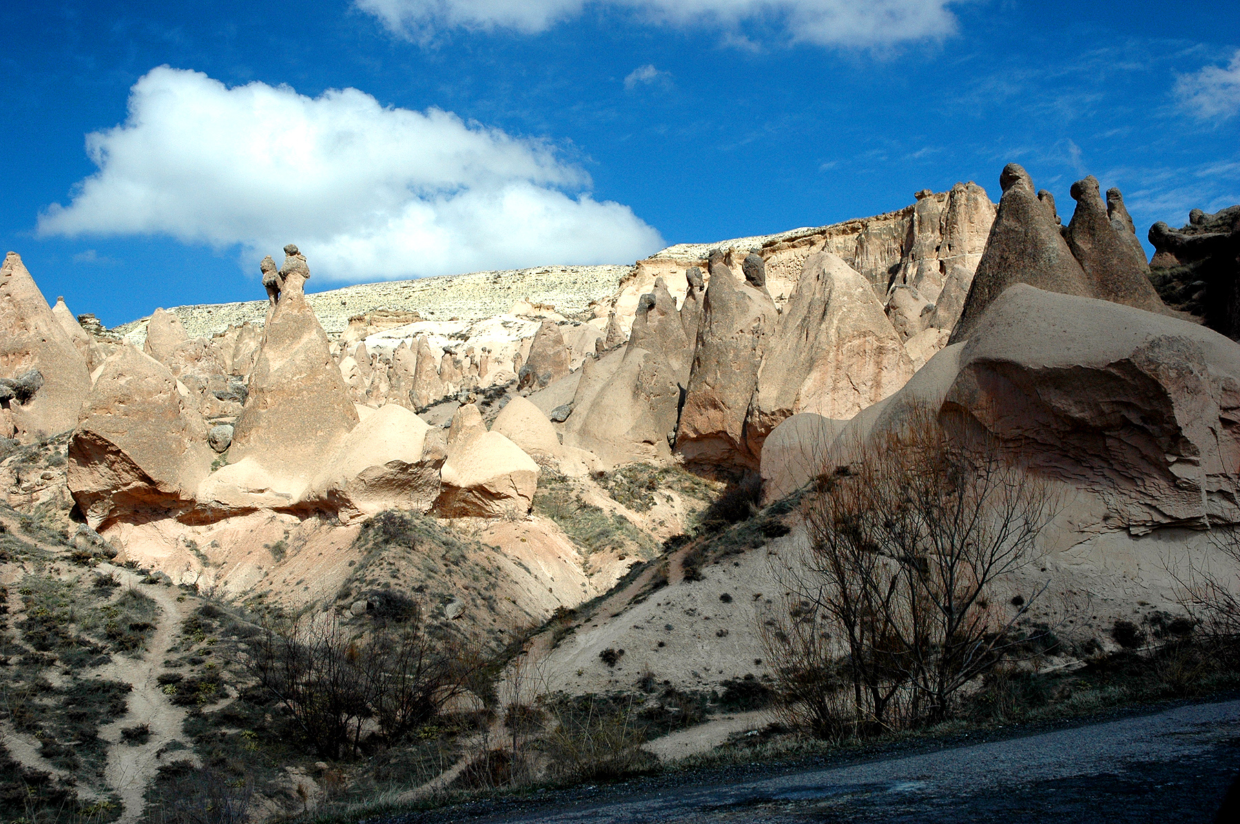 DSC_0955.JPG