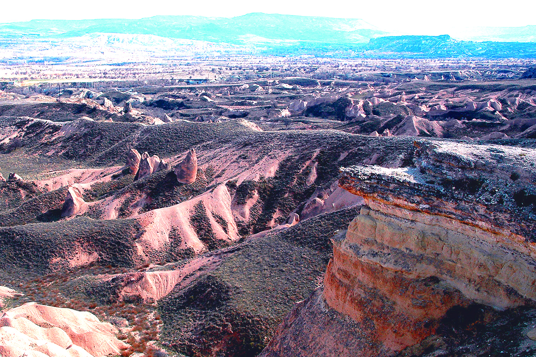 DSC_0959.JPG