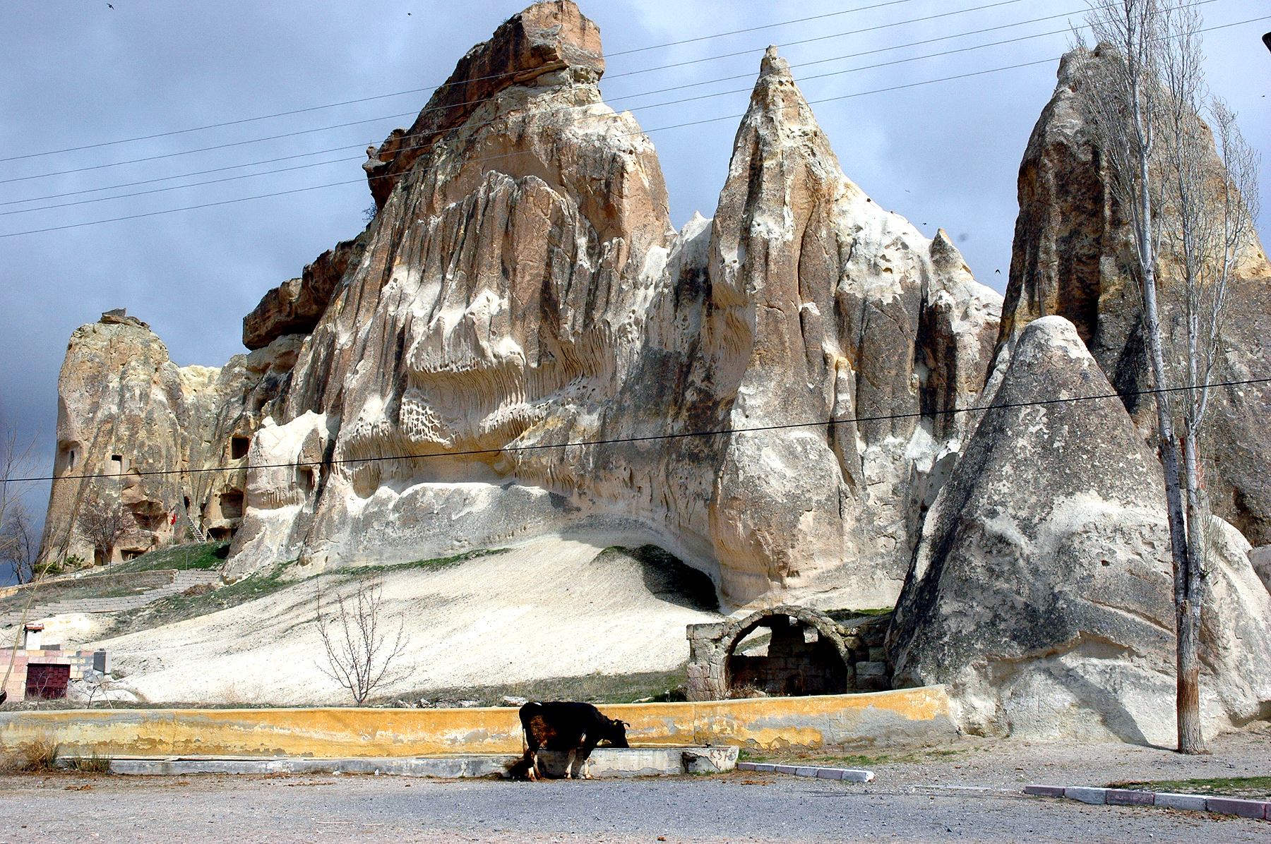 dsc_0701.jpg