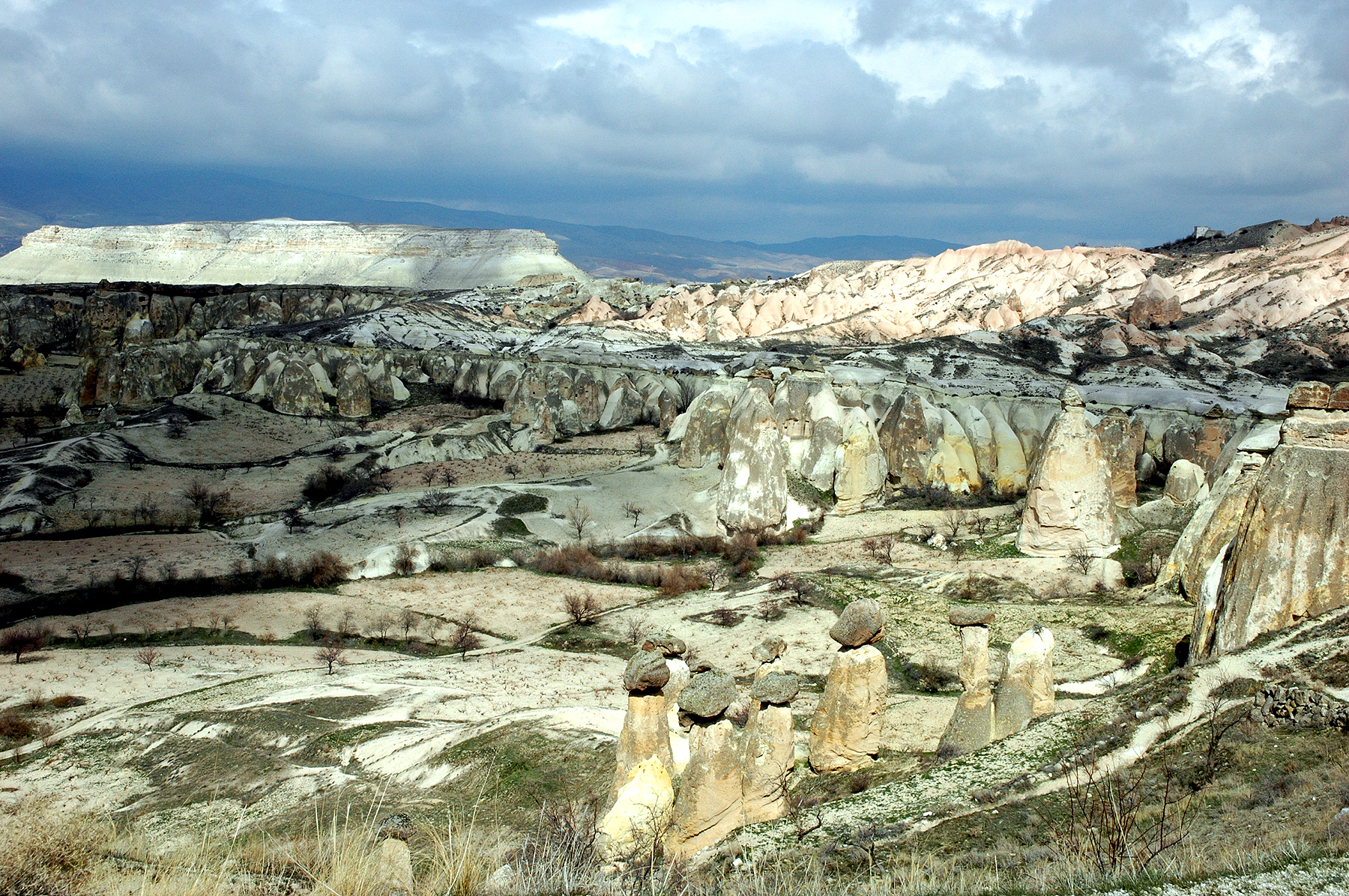 dsc_0718.jpg