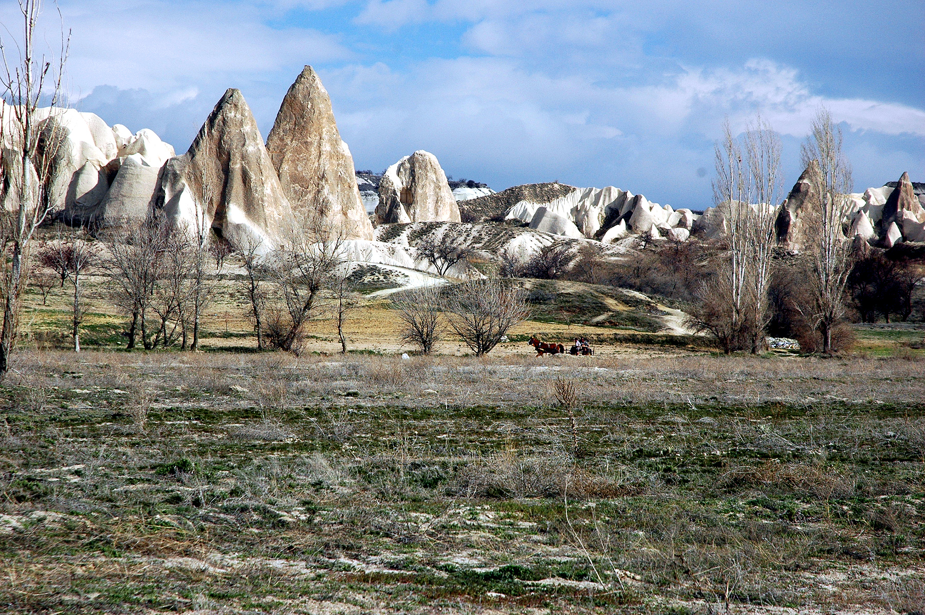 dsc_0745.jpg