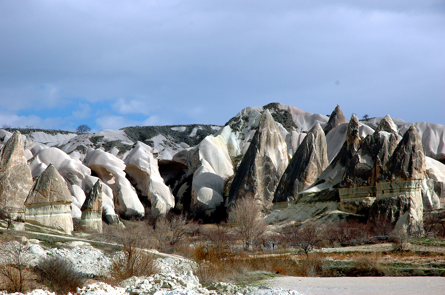 dsc_0749.jpg