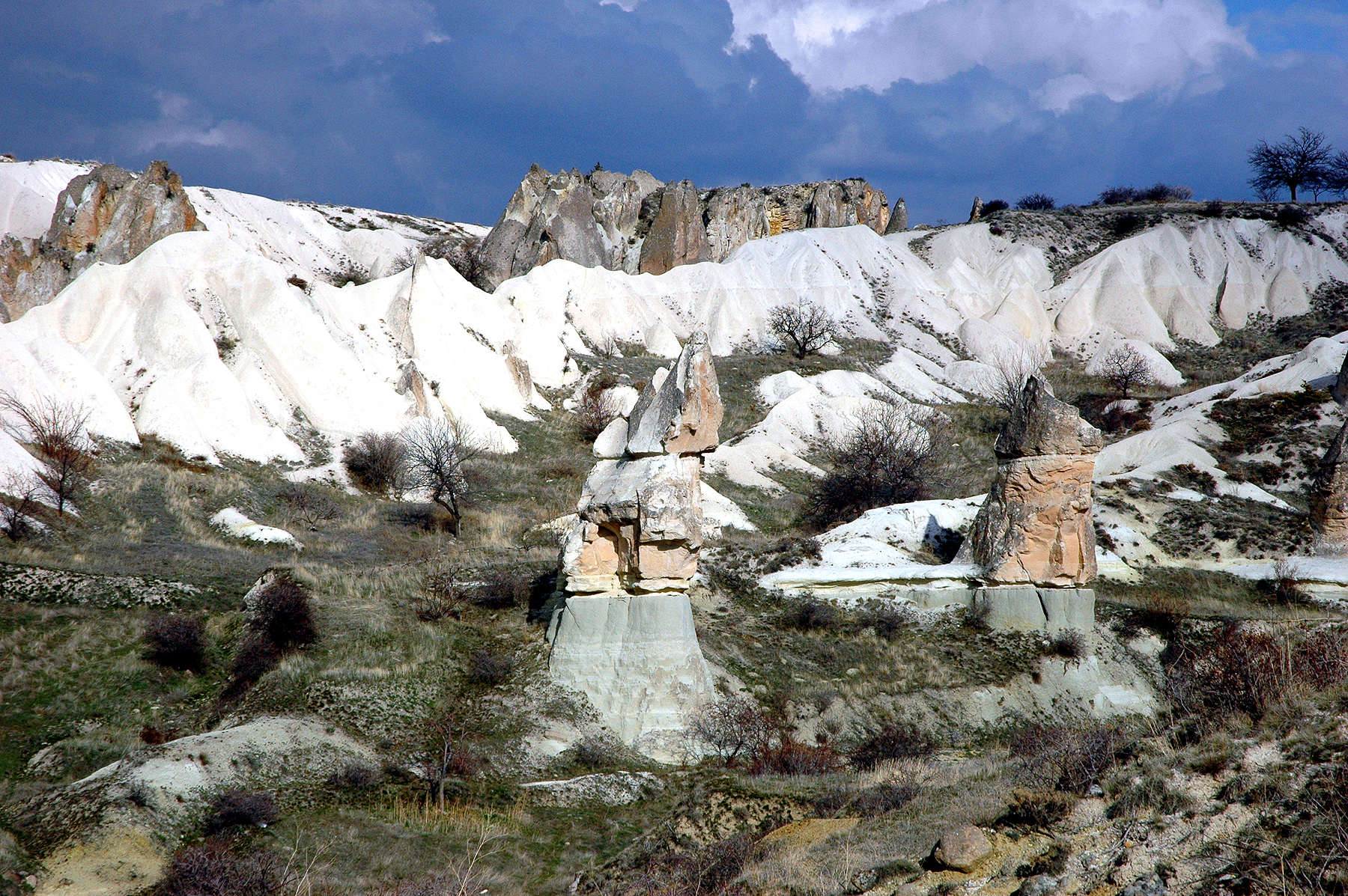dsc_0766.jpg