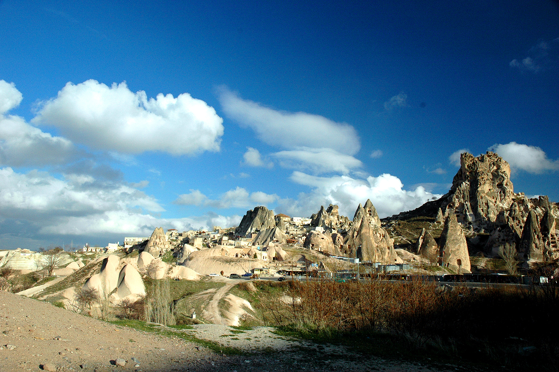dsc_0800.jpg