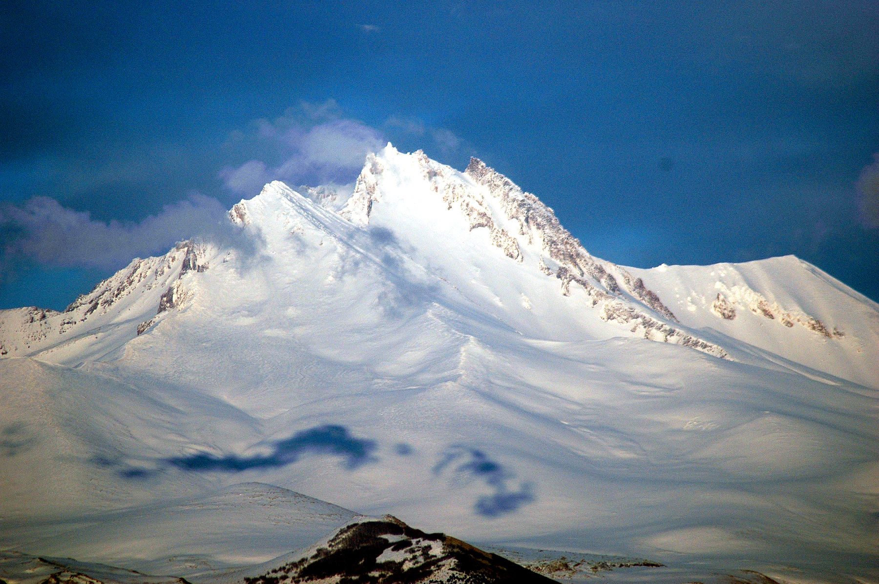 dsc_0916.jpg
