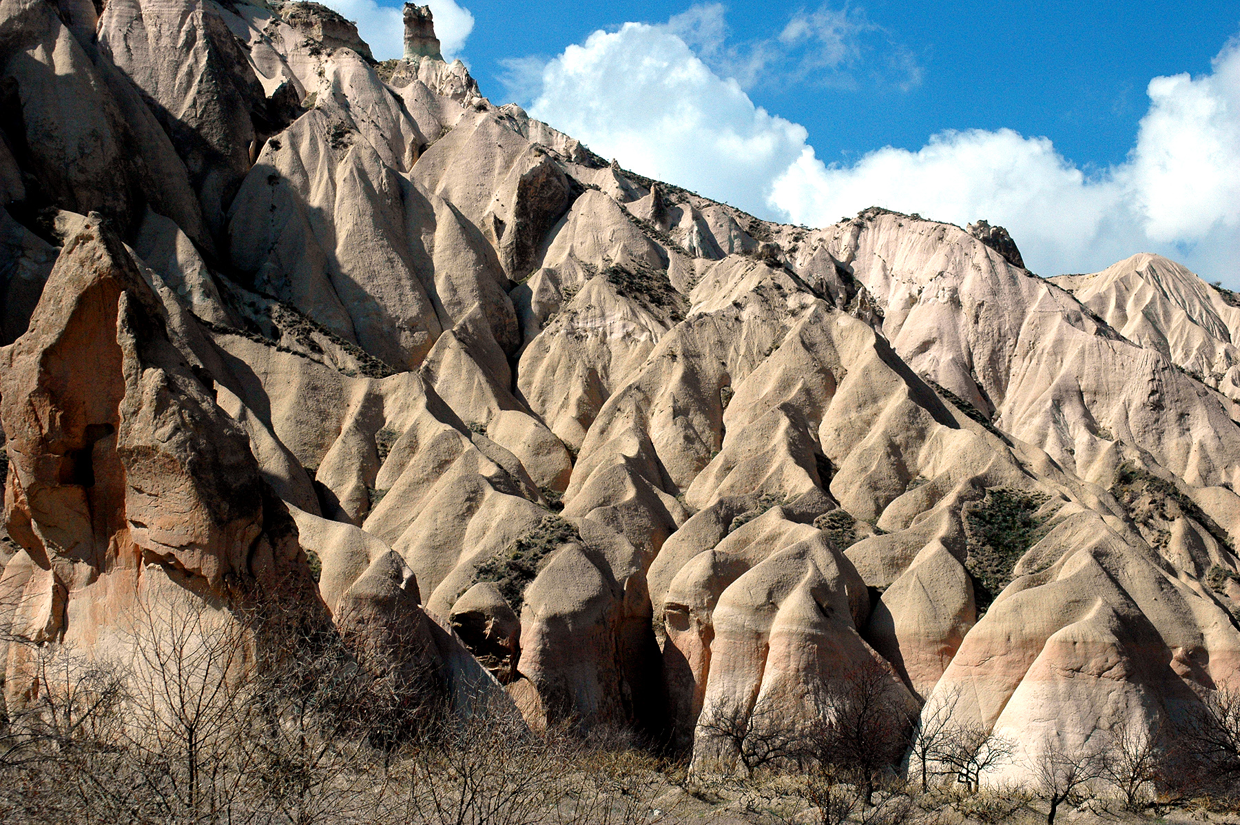dsc_0950.jpg
