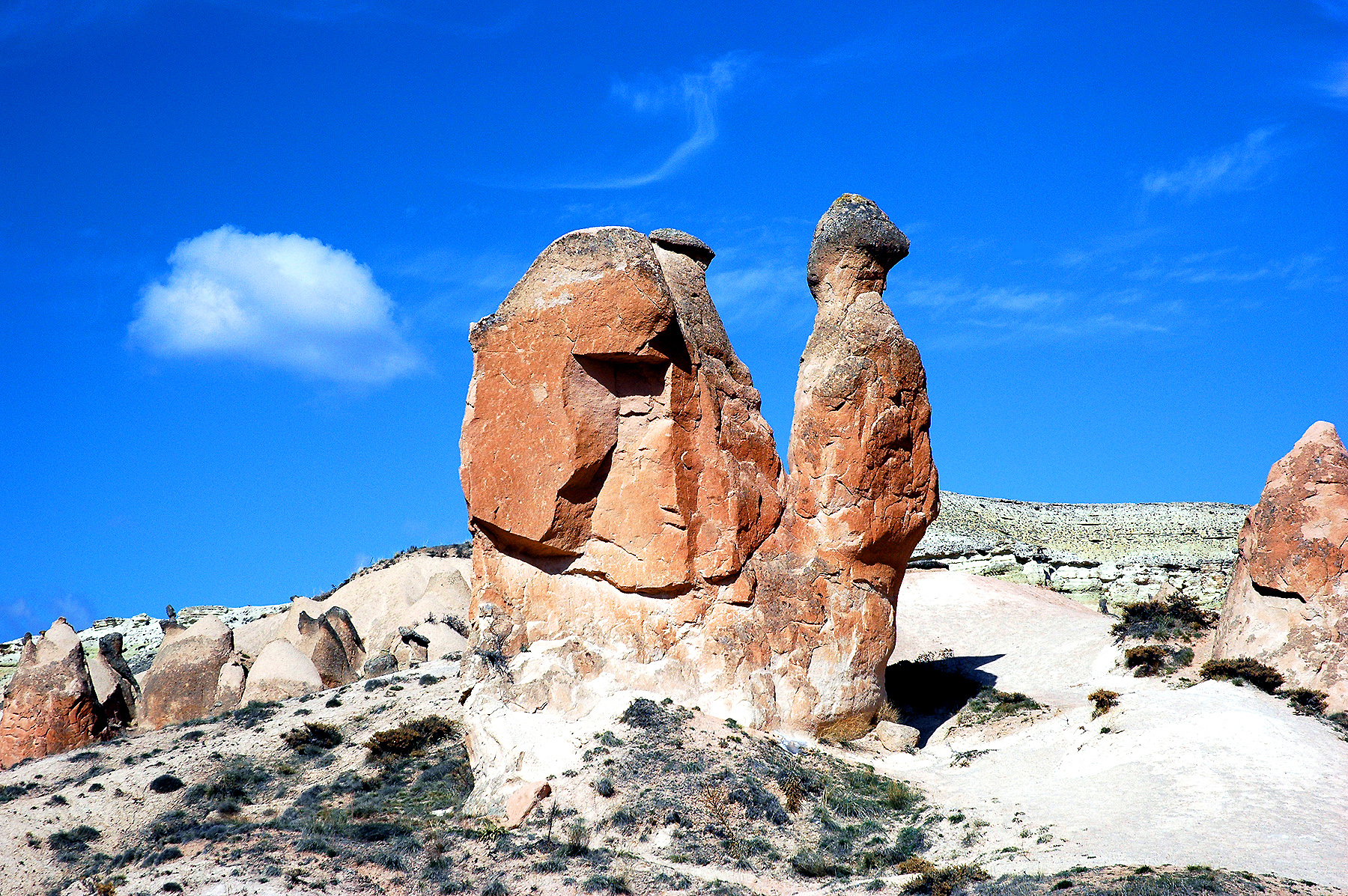 dsc_0963.jpg