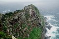 Capepoint-3.jpg