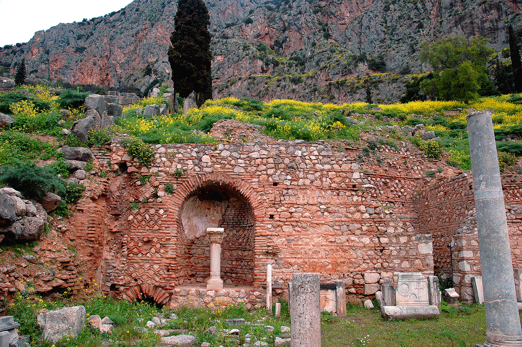 DSC_1513.JPG