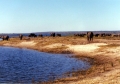 Eclipse 2001 - A44 - Forty Elephants in Chobe