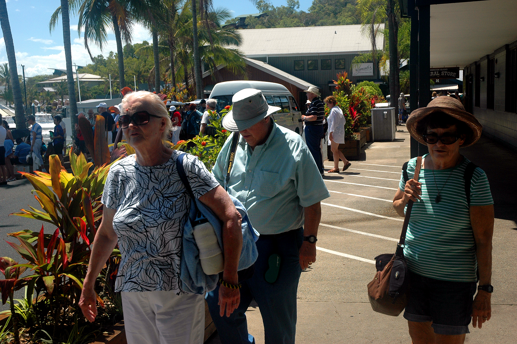 Eclipse 2012 - DSC_3174