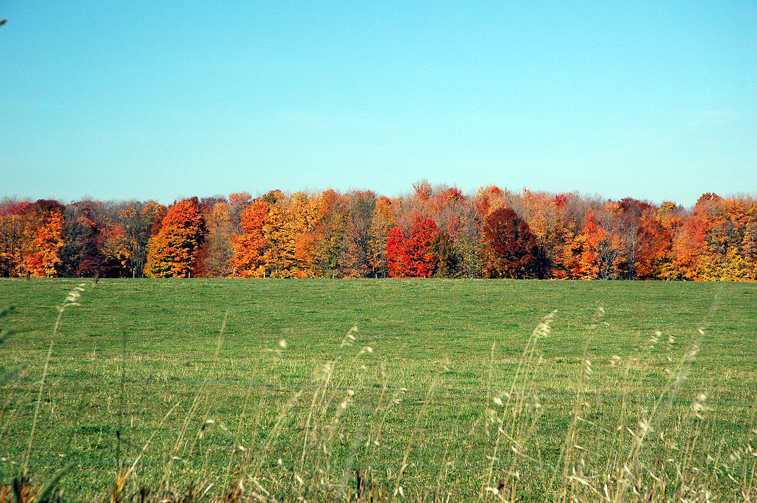 DSC_0046.JPG