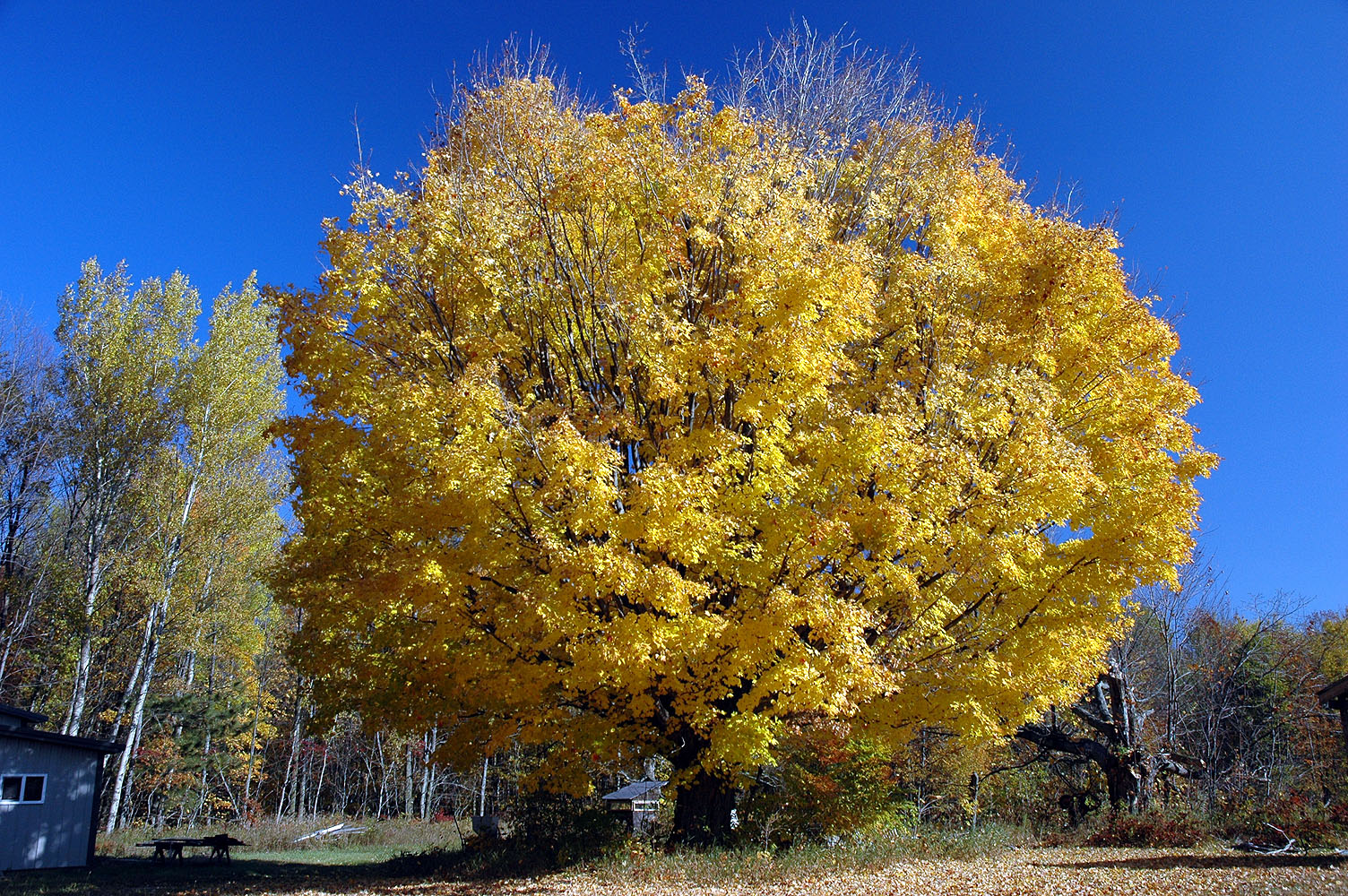 DSC_0051.JPG