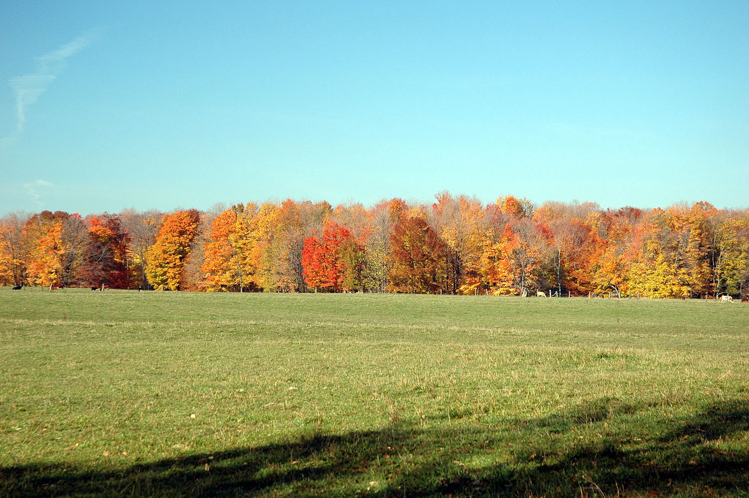 DSC_0052.JPG