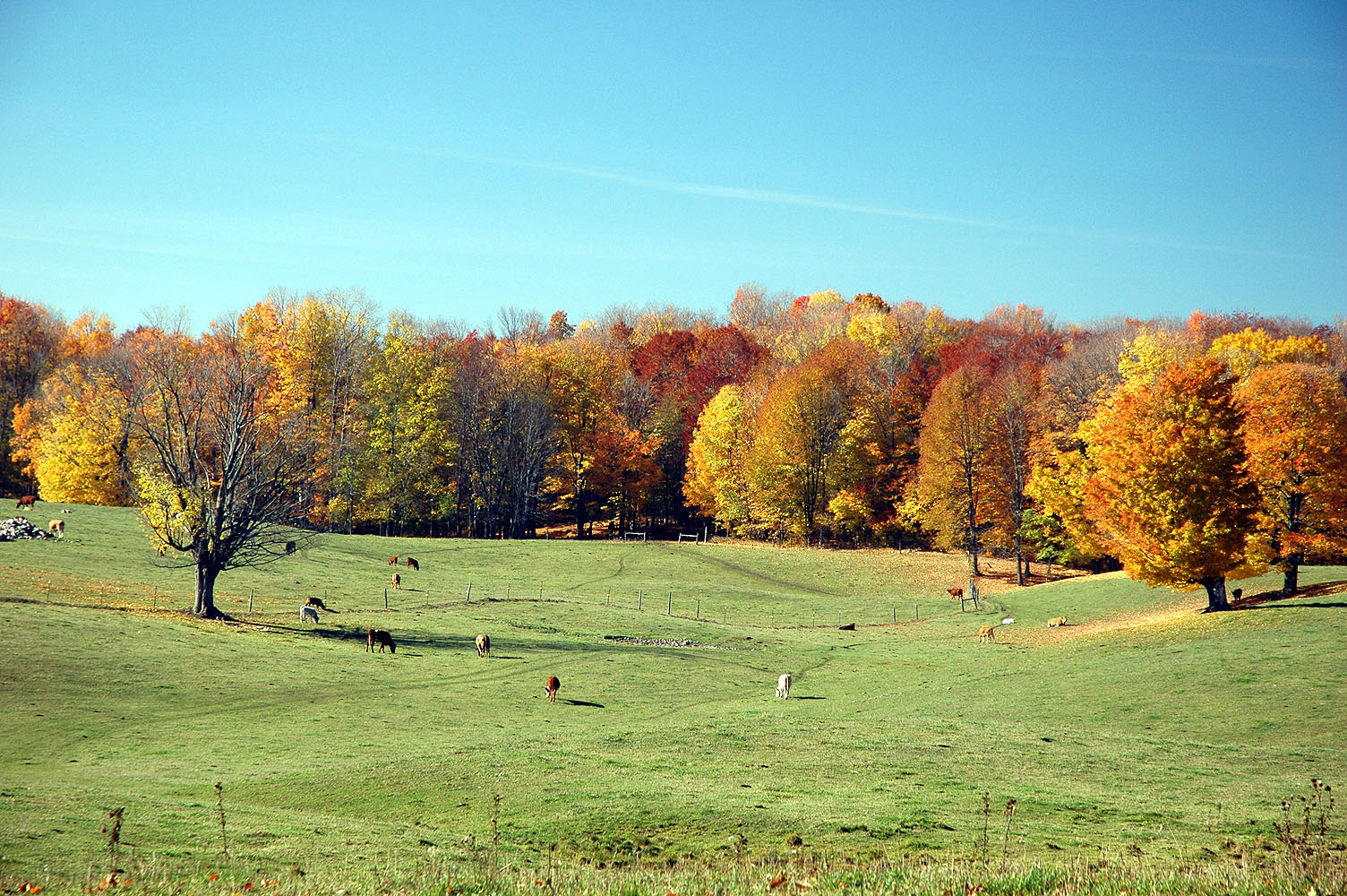 DSC_0056.JPG