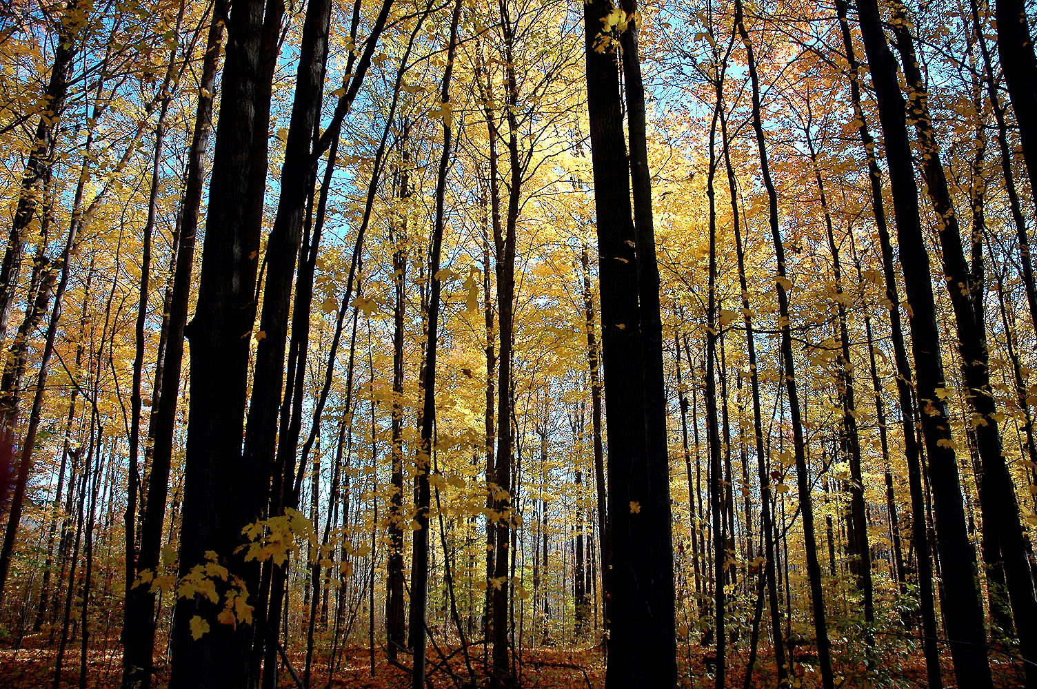 DSC_0058.JPG