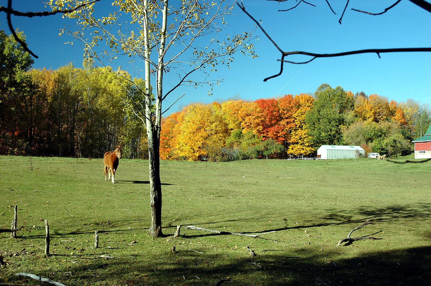 DSC_0063.JPG