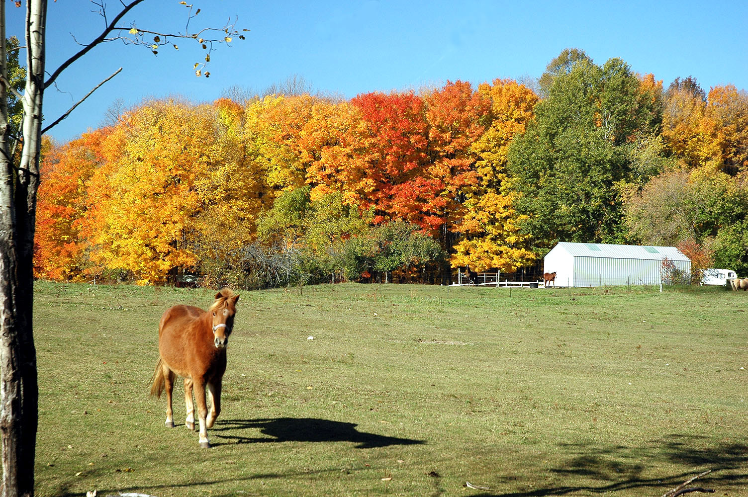 DSC_0064.JPG