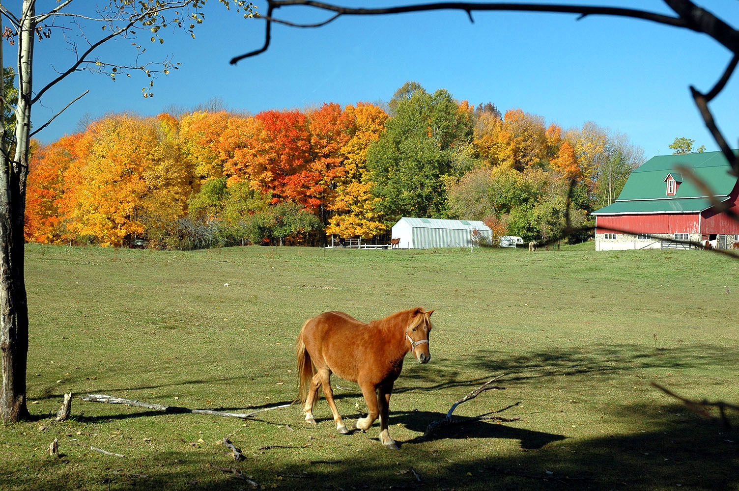DSC_0065.JPG