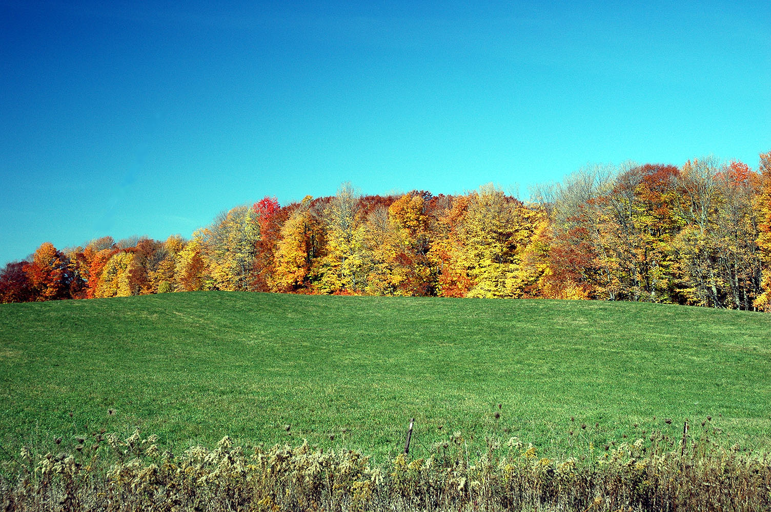 DSC_0069.JPG