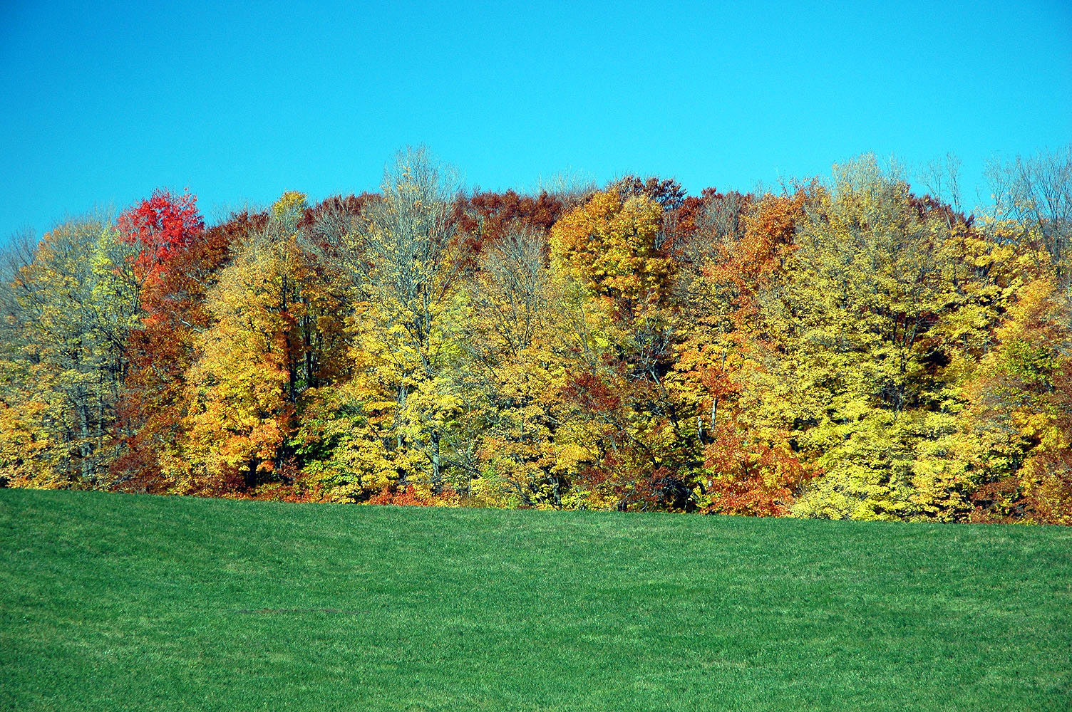 DSC_0070.JPG