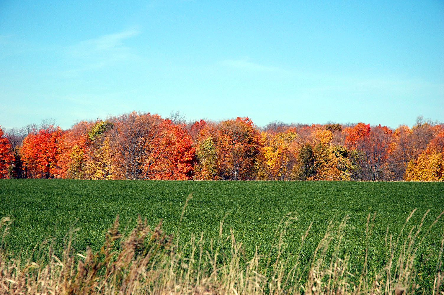 DSC_0072.JPG