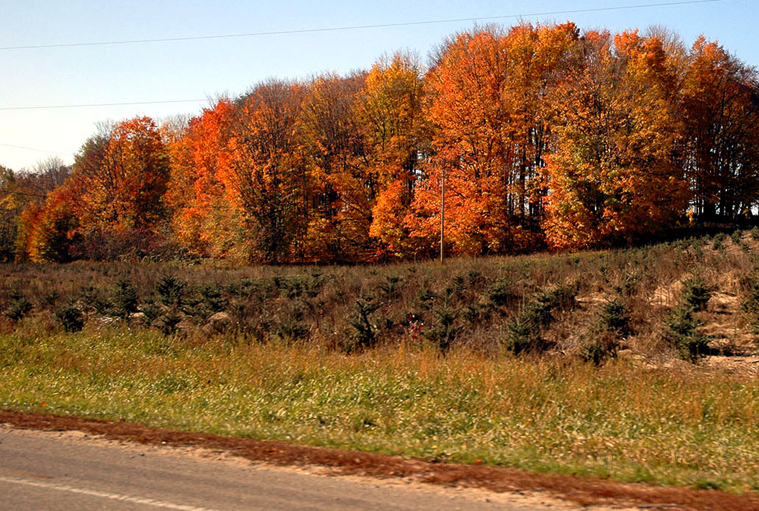 DSC_0074.JPG