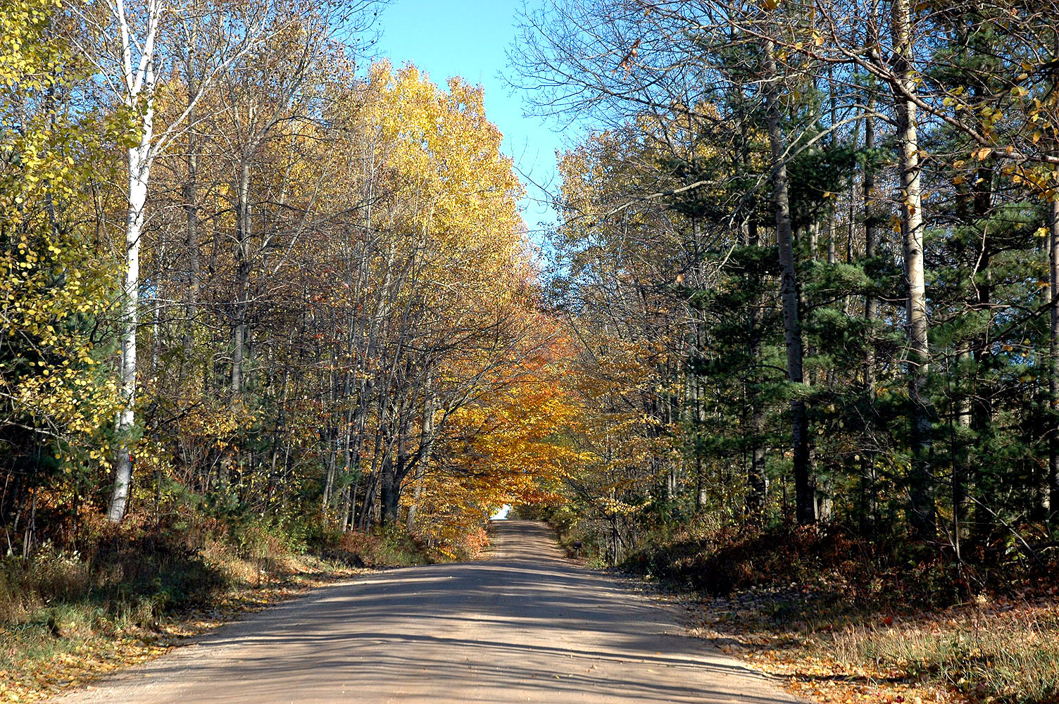 DSC_0082.JPG